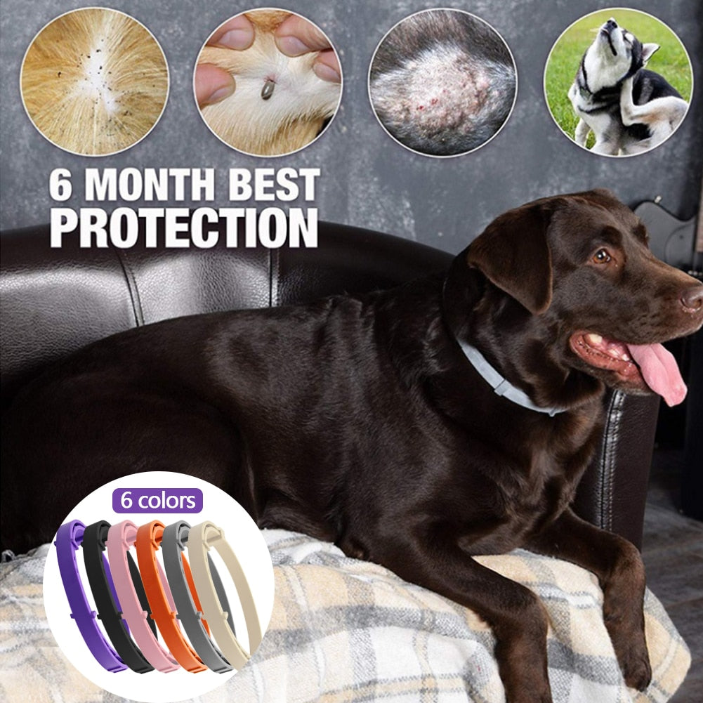 Dog Anti Flea Tick Collars