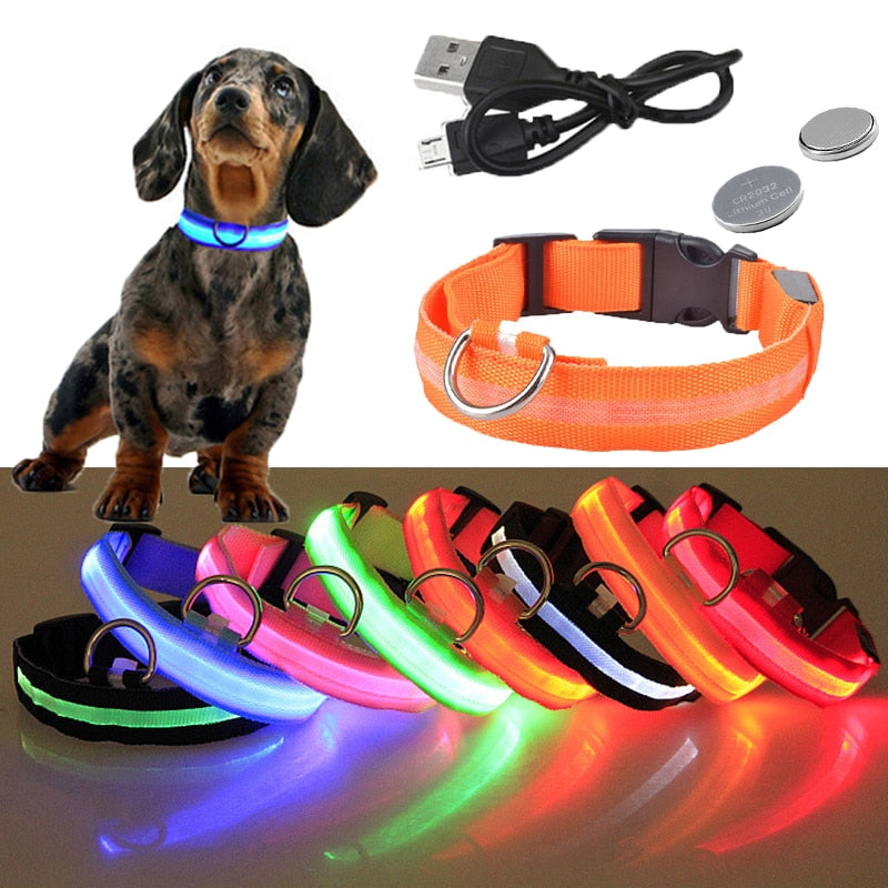 USB Rechargeable Pet Dog LED Collar