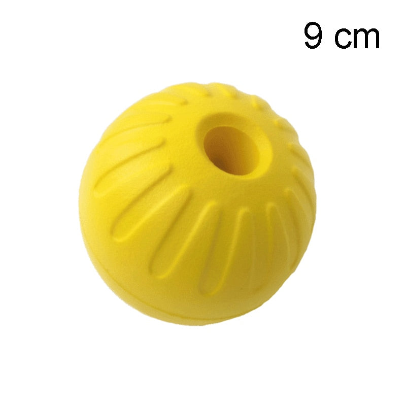 Pet Flying Training Ring