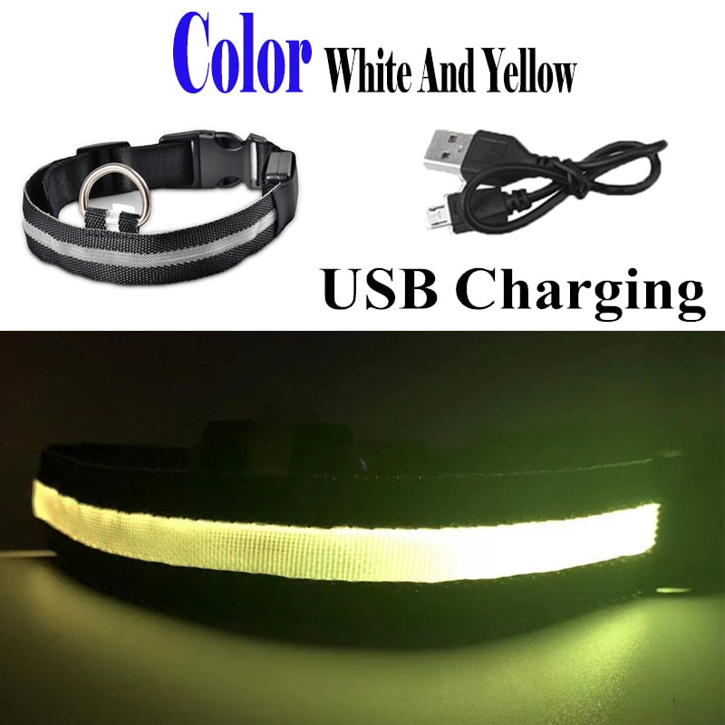 USB Rechargeable Pet Dog LED Collar