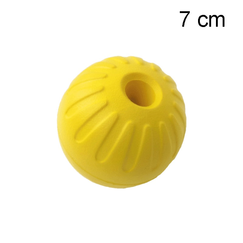 Pet Flying Training Ring