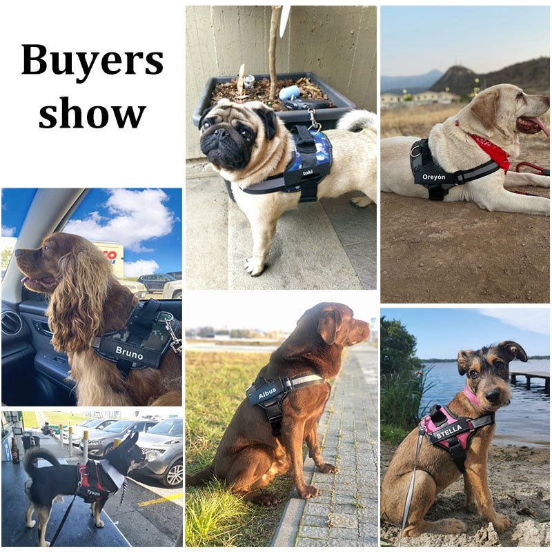 Personalized Dog Harness NO PULL Reflective Breathable Adjustable Pet Harness