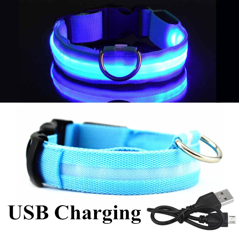 USB Rechargeable Pet Dog LED Collar