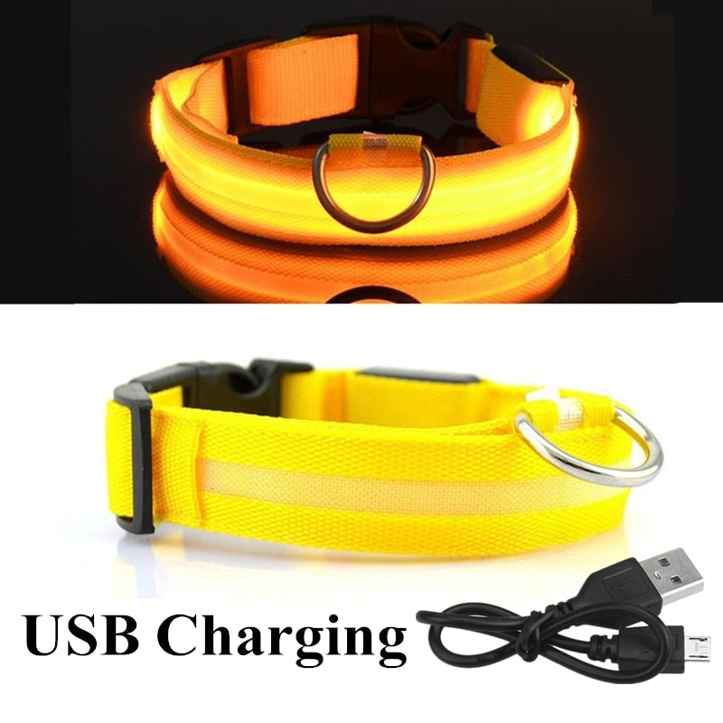 USB Rechargeable Pet Dog LED Collar