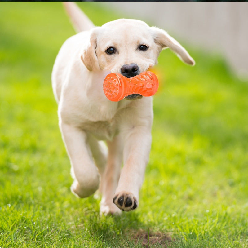 Dog Toothbrush Bone Sturdy Toy