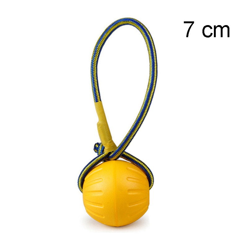 Pet Flying Training Ring