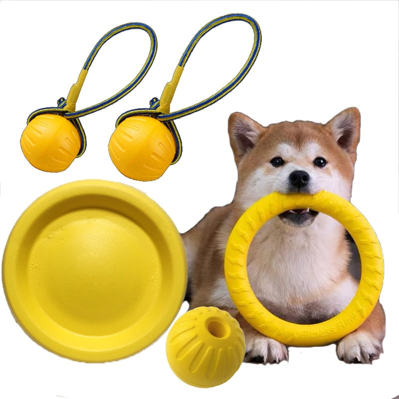 Pet Flying Training Ring