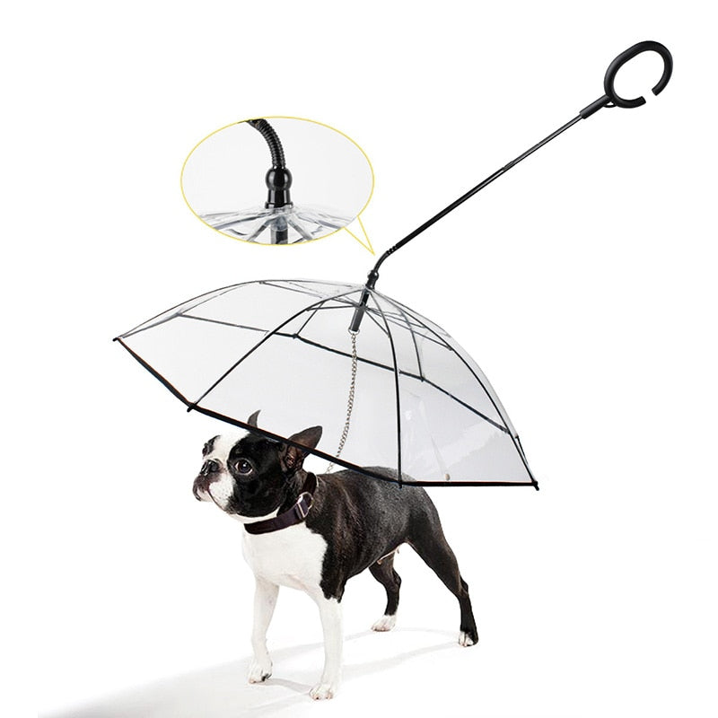 Pet Dog Transparent Umbrella