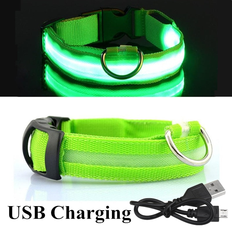 USB Rechargeable Pet Dog LED Collar