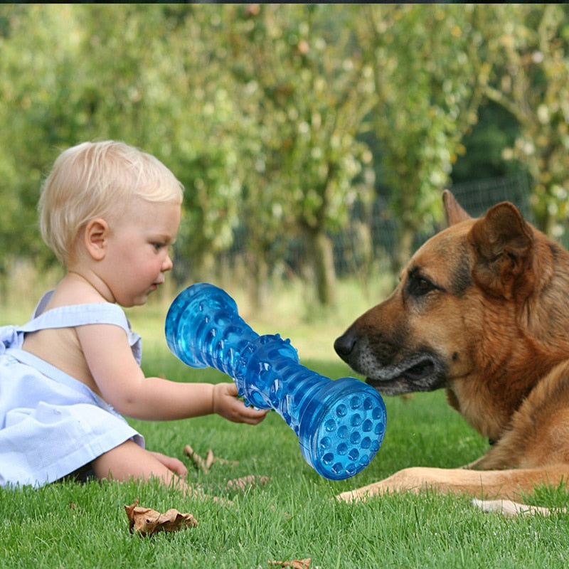 Dog Toothbrush Bone Sturdy Toy