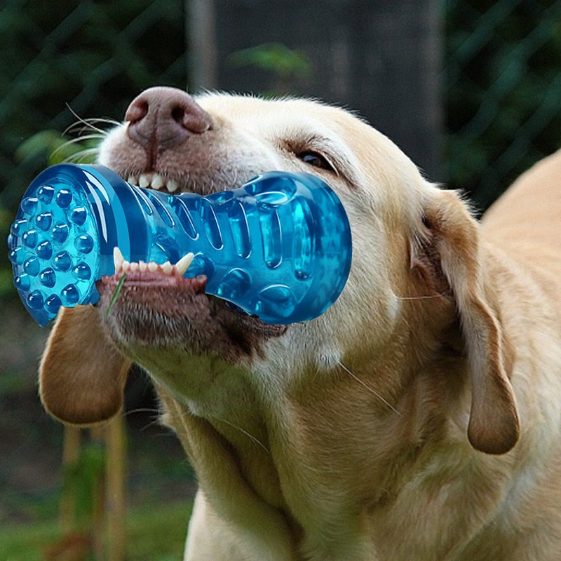 Dog Toothbrush Bone Sturdy Toy