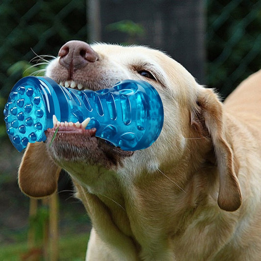 Dog Toothbrush Bone Sturdy Toy