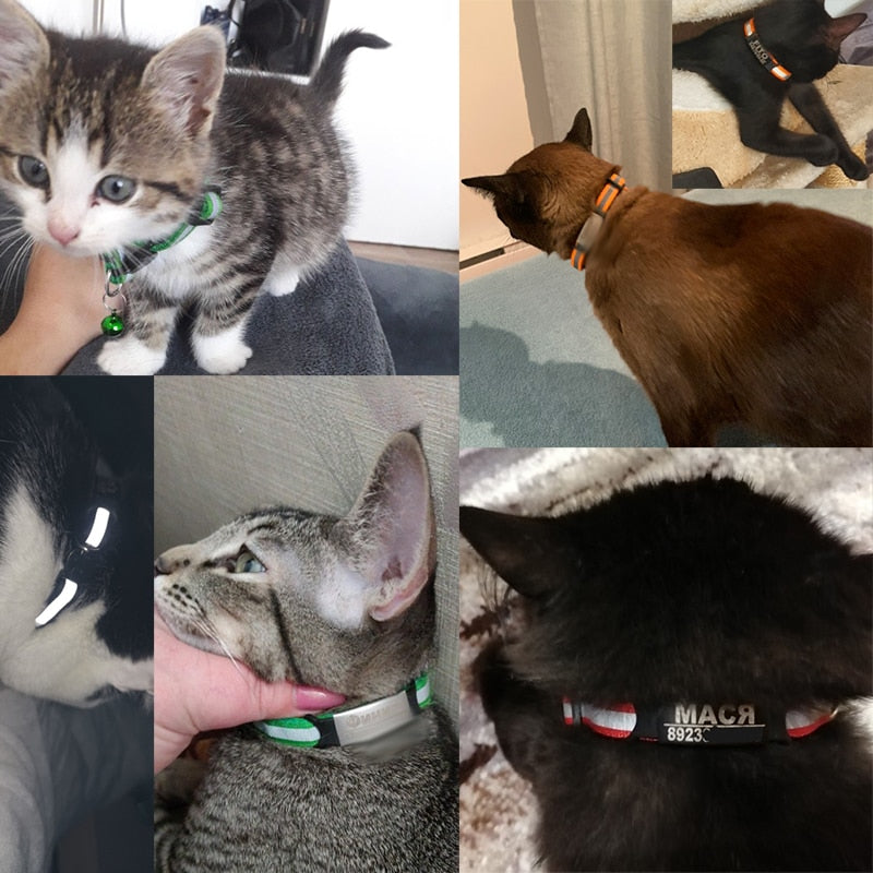 Reflective Cat Safety Buckle Collar Adjustable Custom Personalized ID