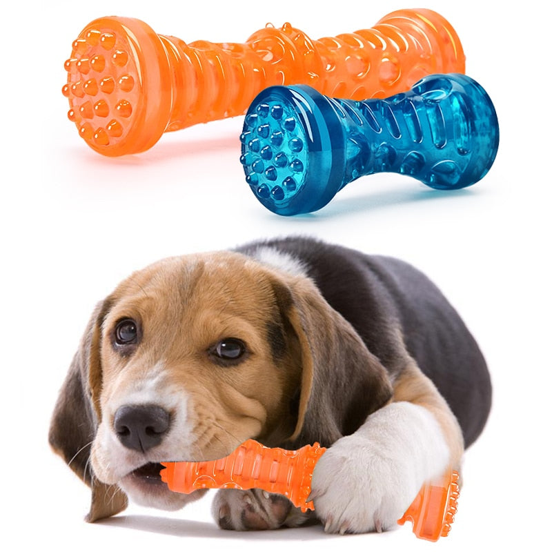 Dog Toothbrush Bone Sturdy Toy