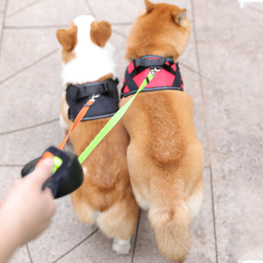 Automatic Reflective Double-Ended Leash Lead