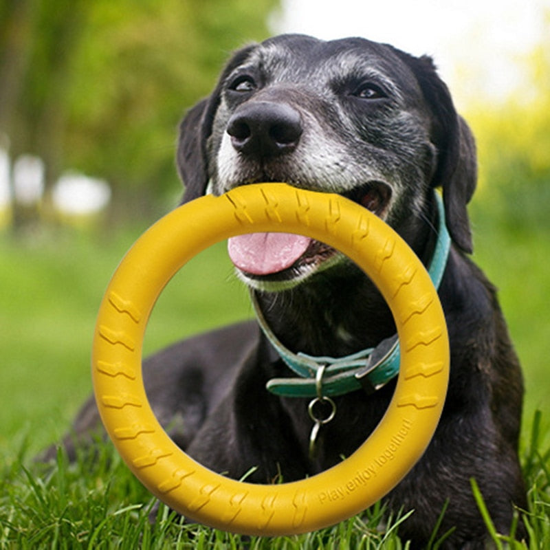 Pet Flying Training Ring