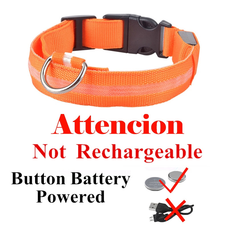 USB Rechargeable Pet Dog LED Collar
