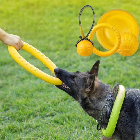 Pet Flying Training Ring