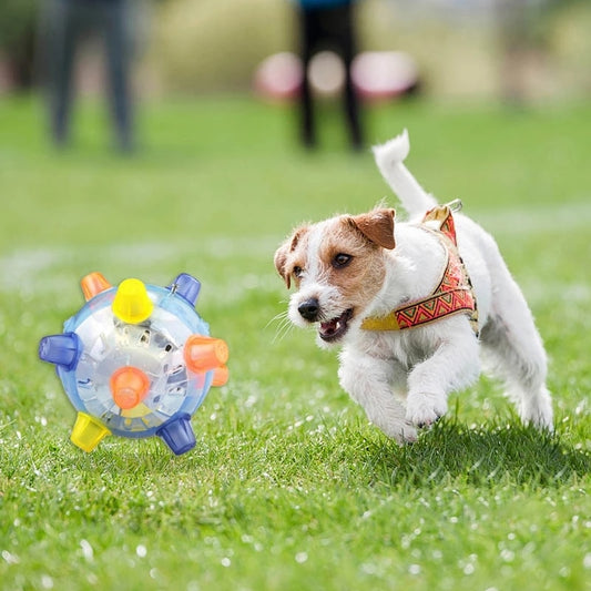 LED Funny Flashing Ball Pets Toys