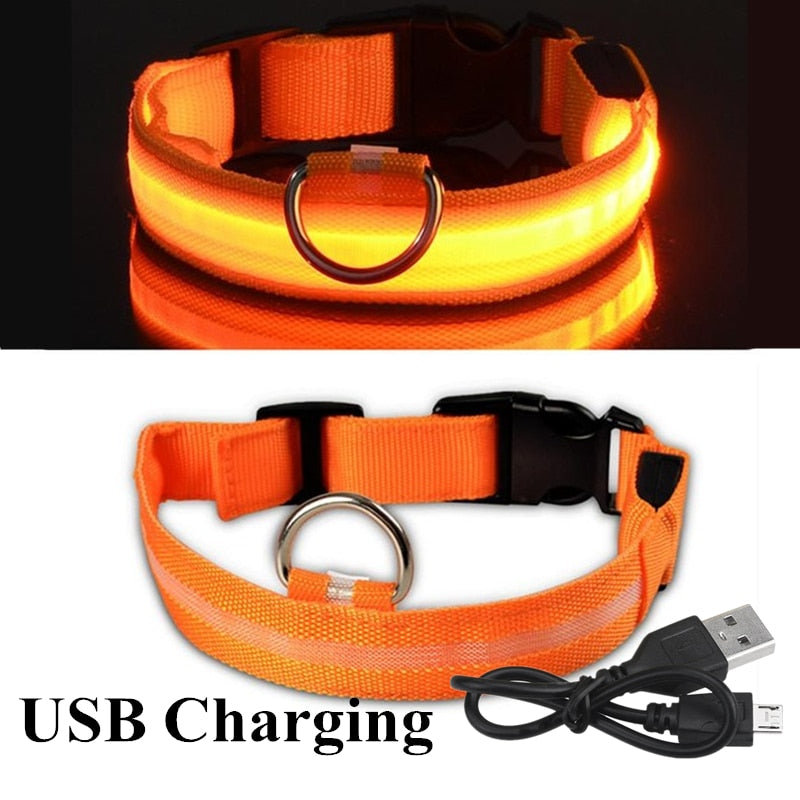 USB Rechargeable Pet Dog LED Collar